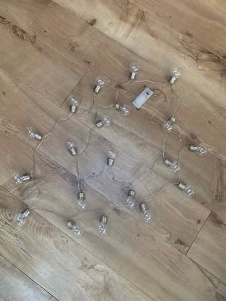 Photo of free Festoon lights (Solihull B91) #1