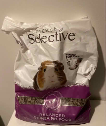 Photo of free Guinea pig food and hay (Glasgow Parkhead G31) #2
