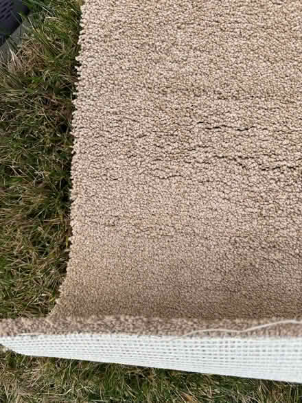 Photo of free Scrap of rug (Saratoga) #1