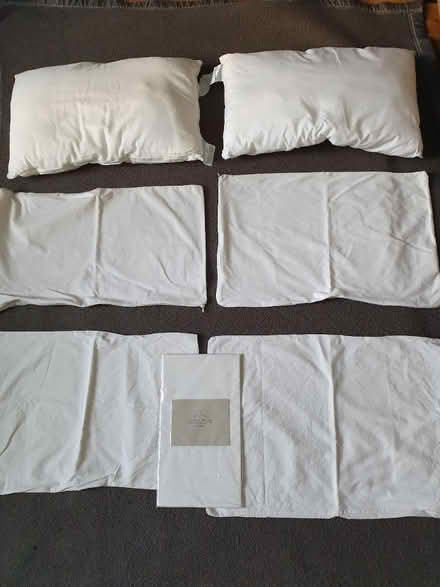 Photo of free 2 toddler pillows John Lewis (SW8 Oval Vauxhall) #1