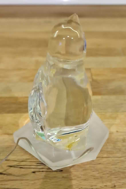 Photo of free Light up penguin (Cheam SM3) #4