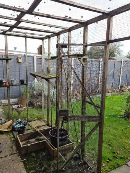 Photo of free Wire run (melksham SN12) #1