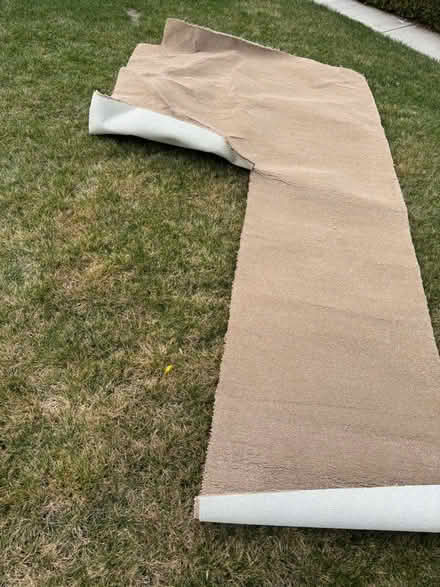Photo of free Scrap of rug (Saratoga) #2
