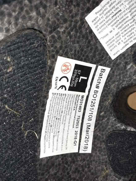 Photo of free Head helmet (Belper DE56) #3