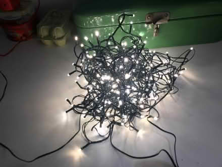 Photo of free Plug-in bright white fairy lights (Lewes BN7) #1
