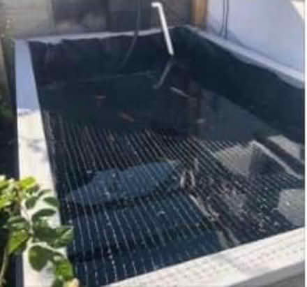 Photo of free pond (Gosport) #1
