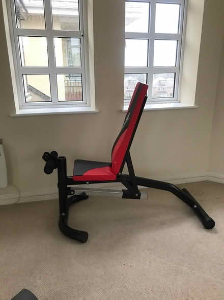 Photo of free USF gym bench (Blackrock) #3