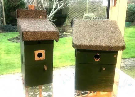 Photo of free 2 Blue Tit nest boxes (Pound Hill RH10) #1