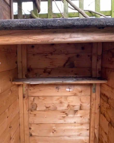 Photo of free Garden shed (Shakspeare Walk, N16) #3
