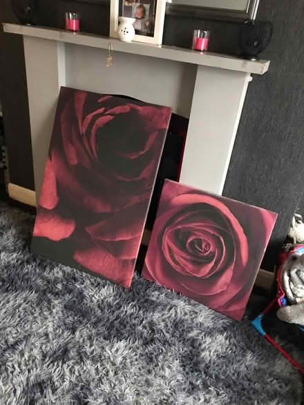 Photo of free Canvases (Radford Coventry) #1