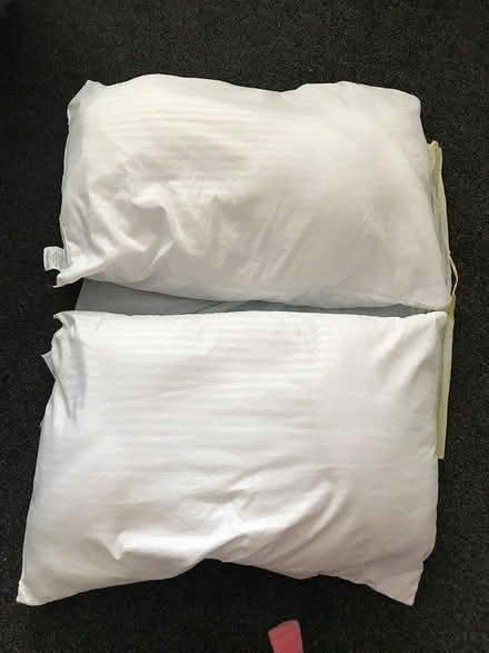 Photo of free 4 pillows (LU6) #1