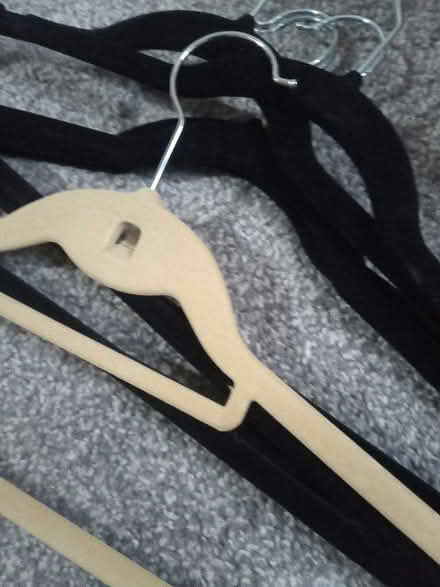 Photo of free Coat hangers (Lawnswood, Leeds LS16) #2