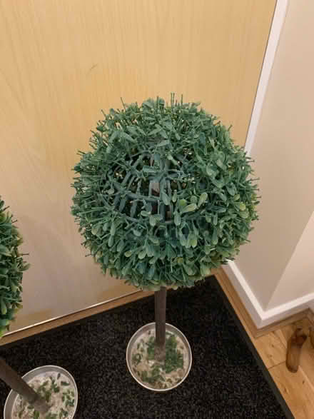 Photo of free Artificial mini trees (Odd down) #2