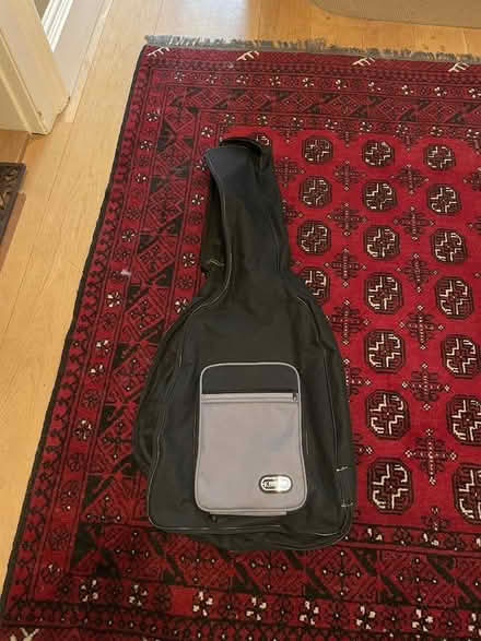 Photo of free Accoustic Guitar Case with Broken Main Zip (Golden Triangle NR2) #1