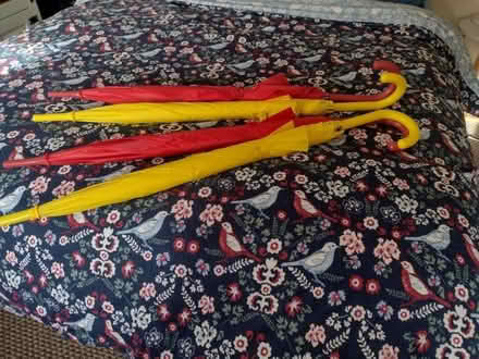 Photo of free Umbrellas (Shard End B34) #1