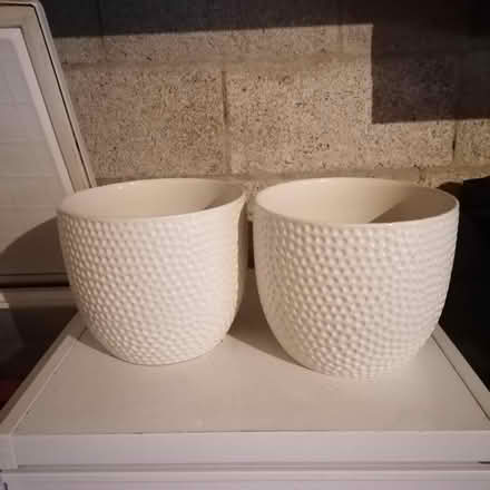 Photo of free Two white china planters (Hollybush NP44) #2