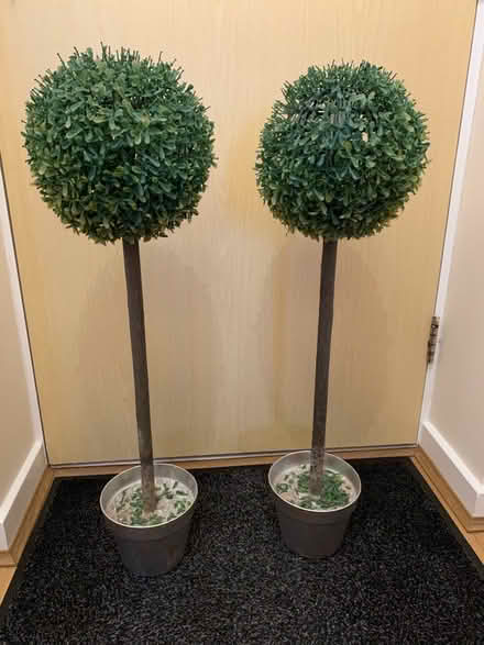 Photo of free Artificial mini trees (Odd down) #1