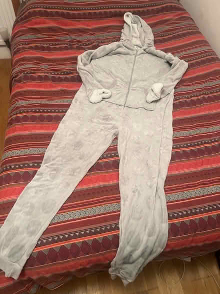 Photo of free Onesie Size XL (SE26 sydenham) #1