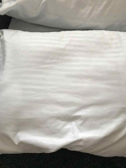 Photo of free 4 pillows (LU6) #2