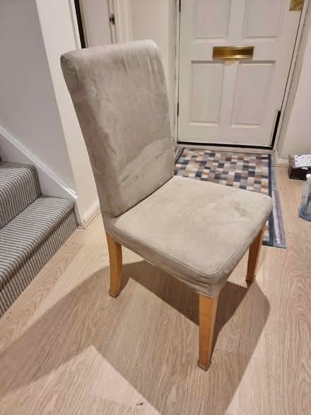 Photo of free Dining chairs (Central Saffron Walden) #1