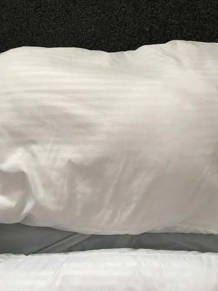 Photo of free 2 pillows (LU6) #3