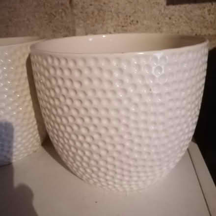 Photo of free Two white china planters (Hollybush NP44) #1