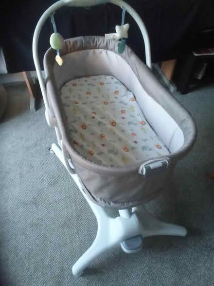 Photo of free Chicco Crib (Heybridge Basin CM9) #2