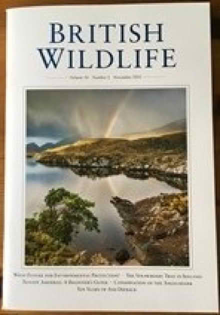 Photo of free British Wildlife Magazines (Little Heath RG31) #1
