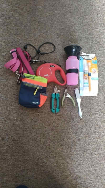 Photo of free Dog accessories (Briarhill) #1