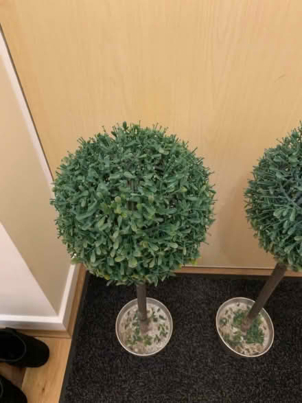 Photo of free Artificial mini trees (Odd down) #3