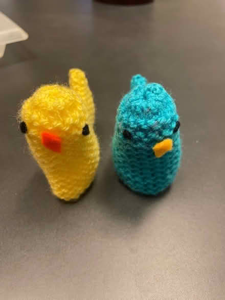 Photo of free Crochet ducks (ashford) #2