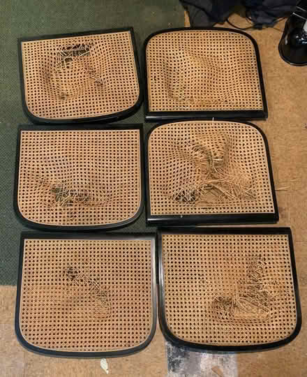 Photo of free Bruer chair seats (North Cleveland Park) #2