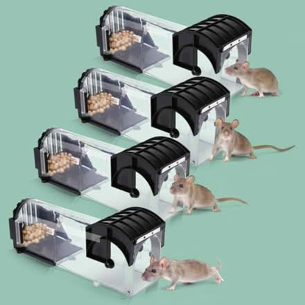 Photo of Humane mouse traps (N4 Manor House) #2