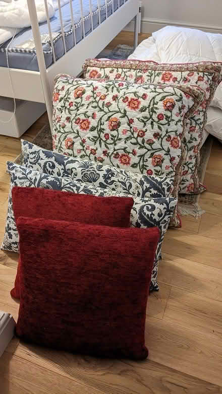 Photo of free Cushions (Norwich NR1) #1