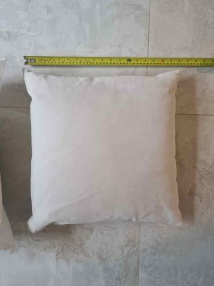 Photo of free 2x cushions (Leziate PE32) #2