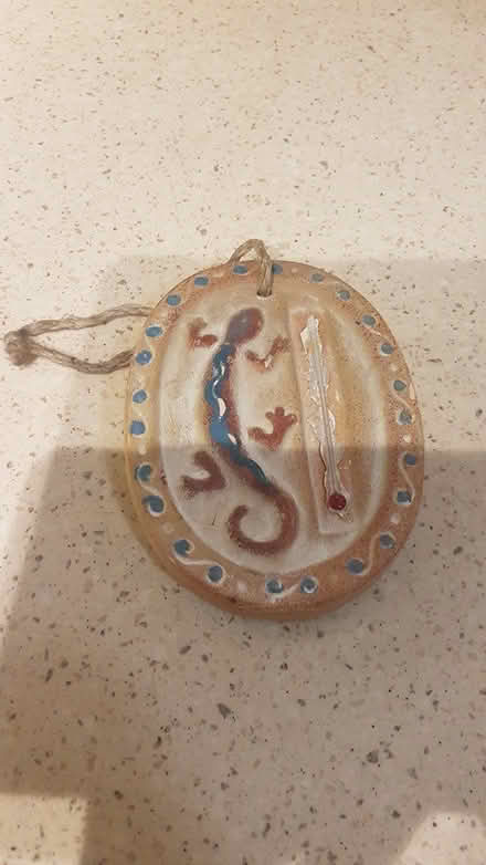 Photo of free Lizard plaque (SK8 Cheadle) #1