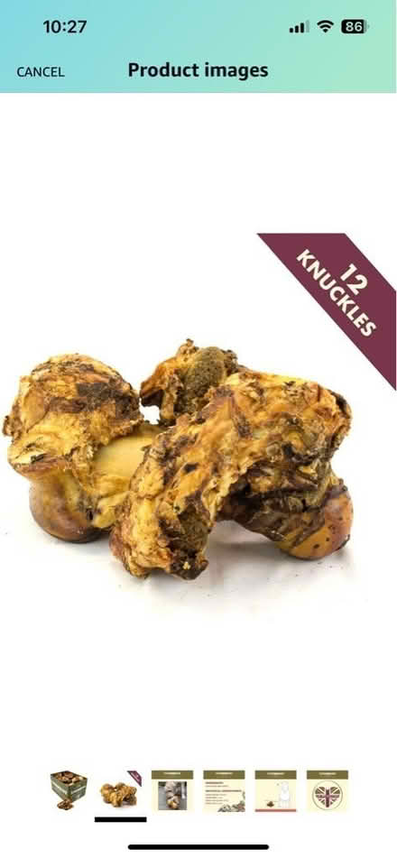 Photo of free Dog Bones (WA9) #1