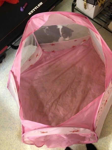 Photo of free Play tent (Ashton CH3) #3