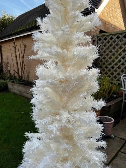 Photo of free 6 ft White Slim Christmas Tree (Oakham LE15) #4
