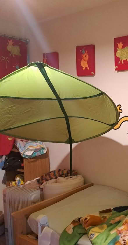 Photo of free Bed canopy leaves (Lewisham SE13) #1