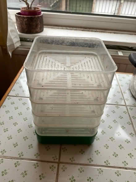 Photo of free Sprouting trays (St Albans Hertfordshire) #1