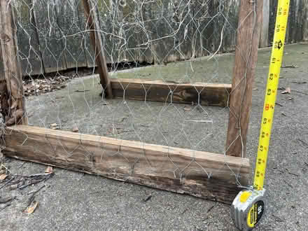 Photo of free Trellis for garden vine plants (Northwest Austin) #3