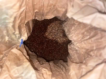 Photo of free Organic Carlin Peas (Harringay Green Lanes) #3