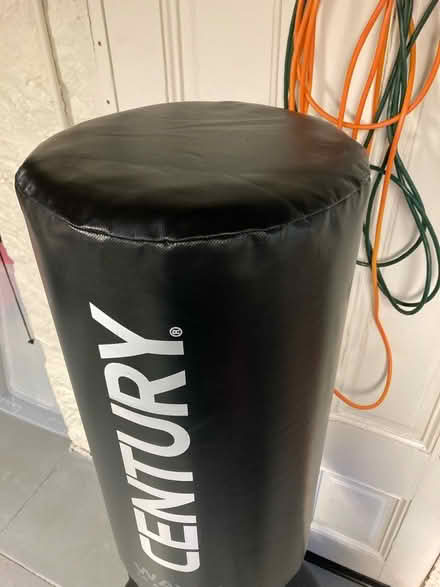 Photo of free Free standing punching bag (Presidio) #2