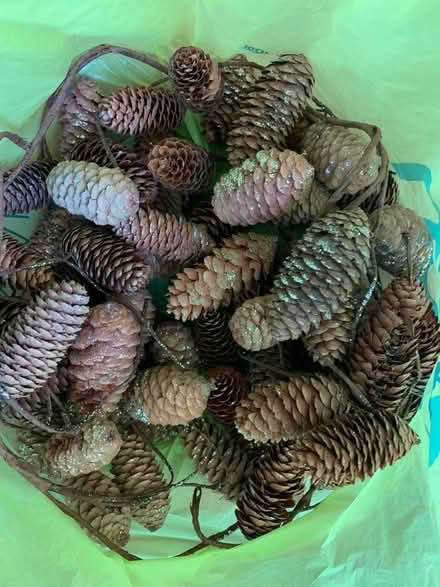 Photo of free Glittery pine cone garland (Craig-y-don LL30) #2