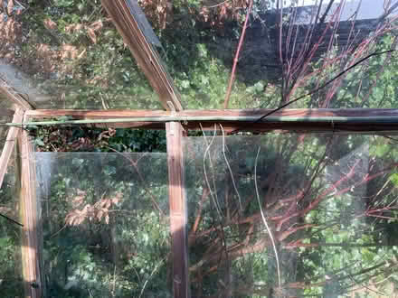 Photo of free Greenhouse (Dore, S17) #2