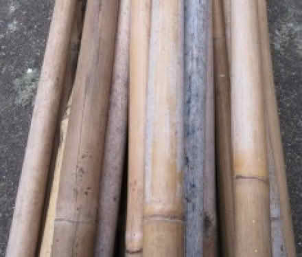Photo of free 8ft Garden Canes (Little Heath RG31) #1