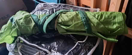 Photo of free Bed canopy leaves (Lewisham SE13) #2