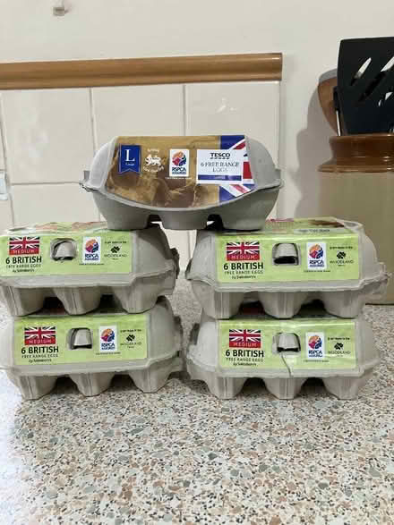 Photo of free Egg boxes (Dunston S41) #1