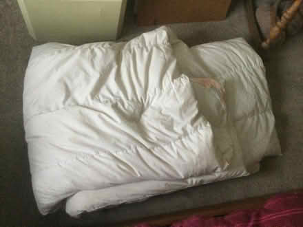 Photo of free White goose Double feather and down duvet (Portslade Village BN41) #1